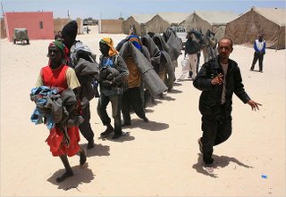 Senegalese migrants at a military camp in Mauritania. The migrants are leaving from various points along Senegal's coast for a perilous sea journey to the Canary Islands of Spain. photo: Juan Medina/Reuters