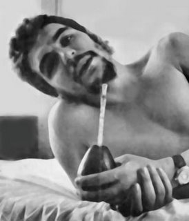 Las mejores imágenes y videos del "Che" Las mejores imágenes y videos del "Che"
