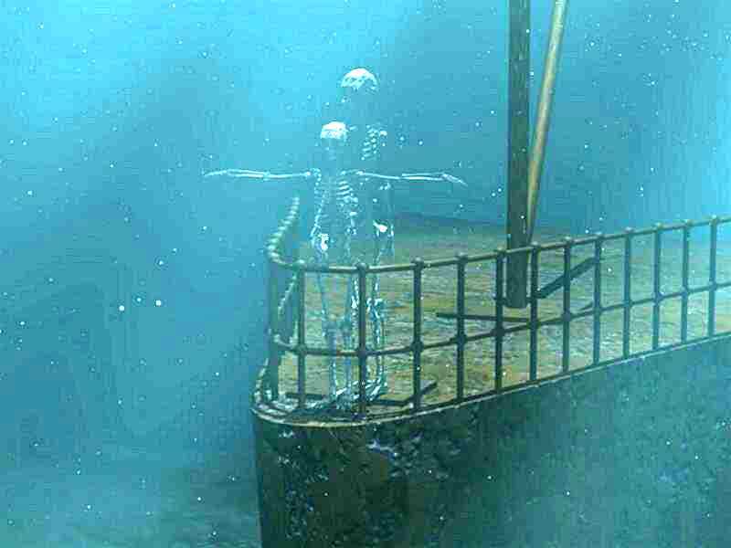 the wreck essay the wreck essay