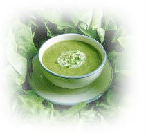 diet plan - cabbage soup