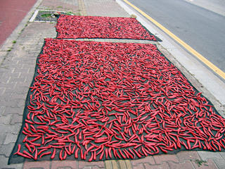 This is one of the most common, and commonly photographed sights in Korea. Red hot chilis are the source of the excruciating pain that is a necessary component of every Korean food except for desserts. They are dried on sidewalks, parks, and anywhere a car is unlikely to tread on them.
