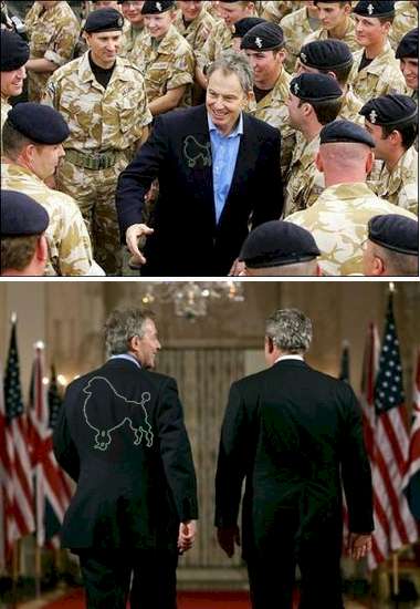 Tony Blair Poodle