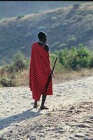 A Maasai tribesman