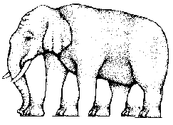 optical illusion elephant