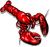 PEI lobster