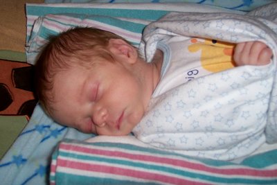 Jack sleeping in his baby burrito