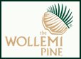 Join the Wollemi Pine Conservation Club