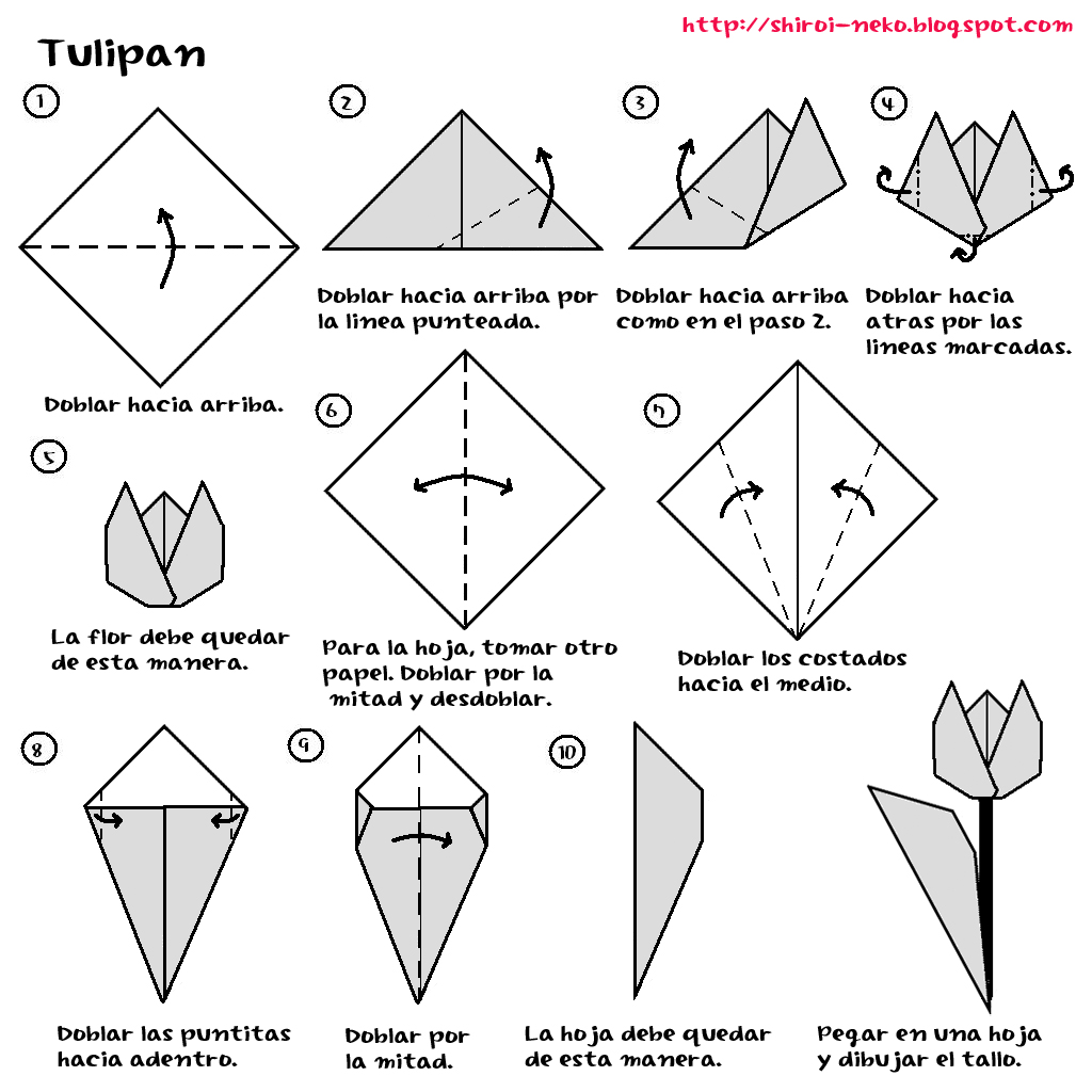 shiroi neko: Origami: Tulipán