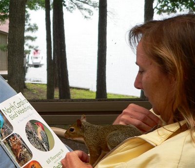 the literate squirrel