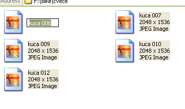 renaming files tip