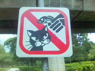 Funny cat: Funny cat signs