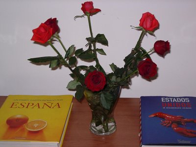 roses i llibres