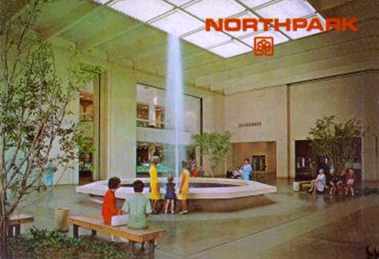 Shoppers at Northpark Mall in Dallas Texas. Dated 1980. : r/OldSchoolCool
