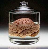 brain in a jar