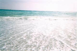 Foto mia, mare onde sole spiaggia