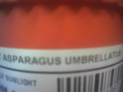 the description...