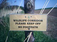 Wildlife Corridor
