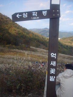 almost there