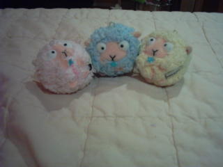 Sheepo