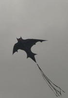 蝙蝠風箏
