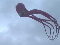章魚風箏