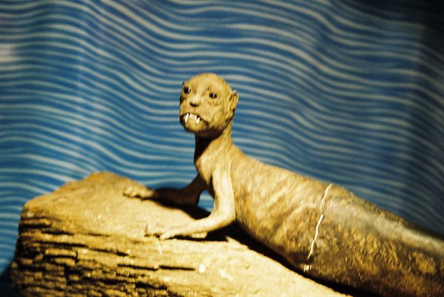 El Museo Ripley El Museo Ripley