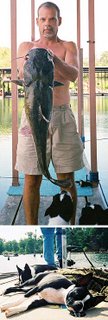 Lake Tenkiller Oklahoma fishing report from Darris Smith