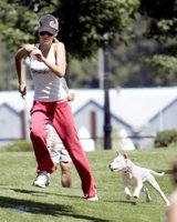Jessica Alba Playing With Her Dog