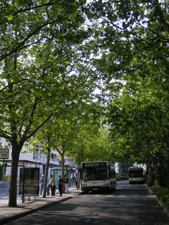 Place Voltaire, Châteauroux
