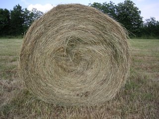Botte de foin. Campagne berrichonne, sud du département