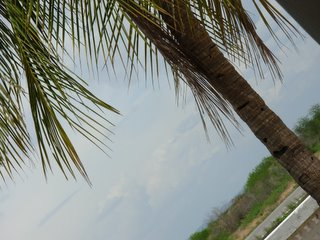 Calor...
