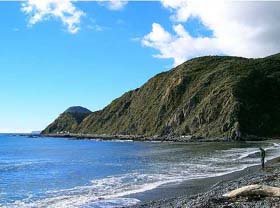 Makara Beach in Wellington, New Zealand