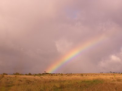 pretty rainbow just outside Haleiwa town