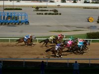 Corrida de cavalos - Horse race