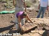 Fossil Leaves Wyoming K-T Boundary (Evolution Research: John Latter / Jorolat)