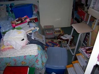 Disorganised Mess