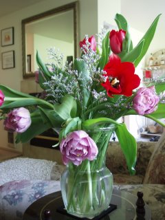 Bouquet of tulips 5 (c) Kayar Silkenvoice