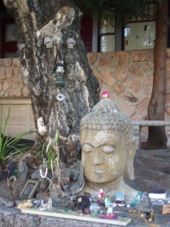 Buddha and the Tree Spirit, Hawthorne District, Portland OR (c) KR Silkenvoice