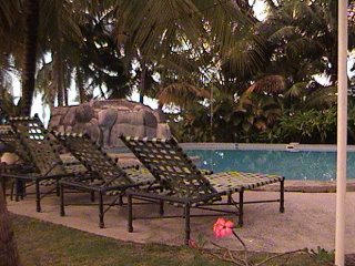 Poolside at Seaside Travellers Inn, Kinarut