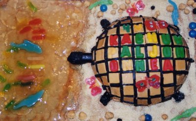 Tortoise birthday cake for Kachun