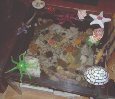 Annikki's creation, the table-top Aquarium