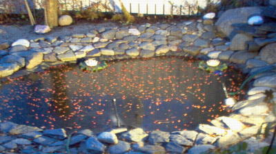 Pond with berry topping