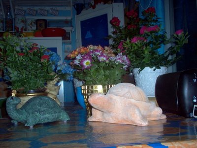Brick turtle shares the table with the squeaking one!