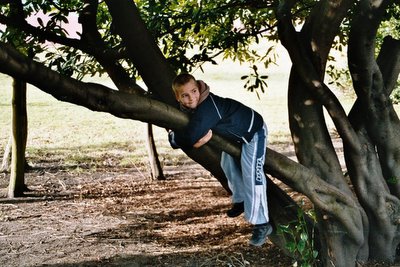 Samuel climbing a tree at Leazes Park
