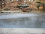 池、凍る。