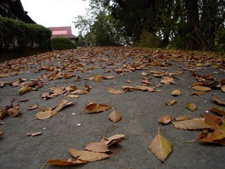 St. Edmund's College, Shillong