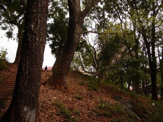 St. Edmund's College, Shillong