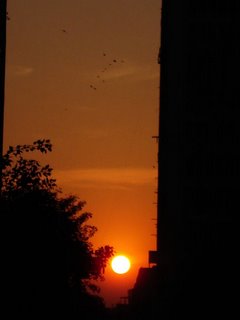 Sunset 14 January 2006 New Delhi