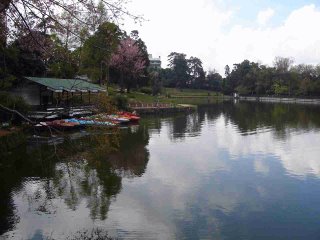 Ward's Lake, Shillong