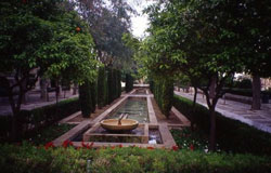 Les jardins du palais
